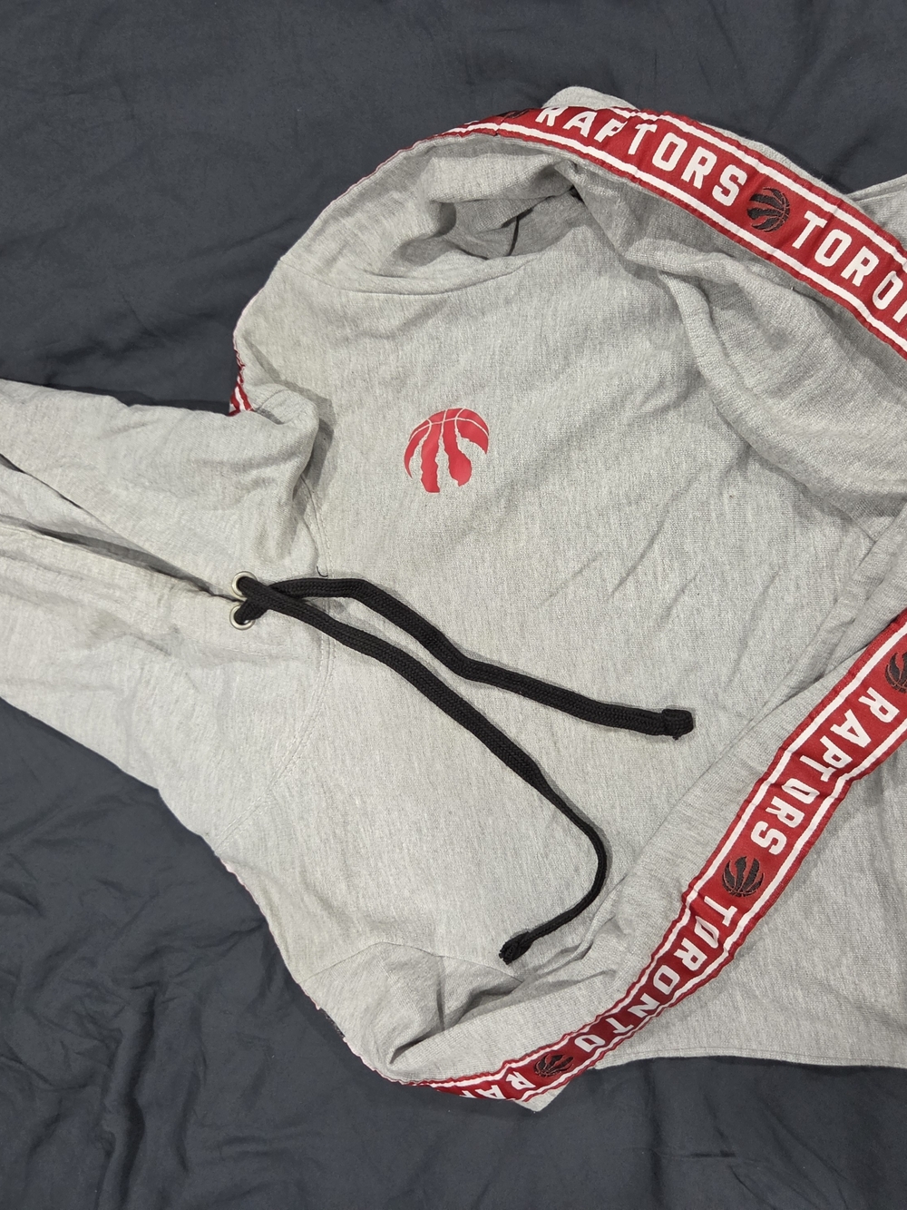 Raptors Gray Hoodie with Red Trim